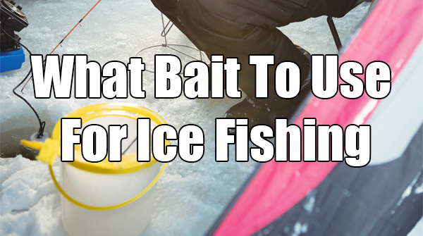 What Bait Is Generally Used For Ice Fishing