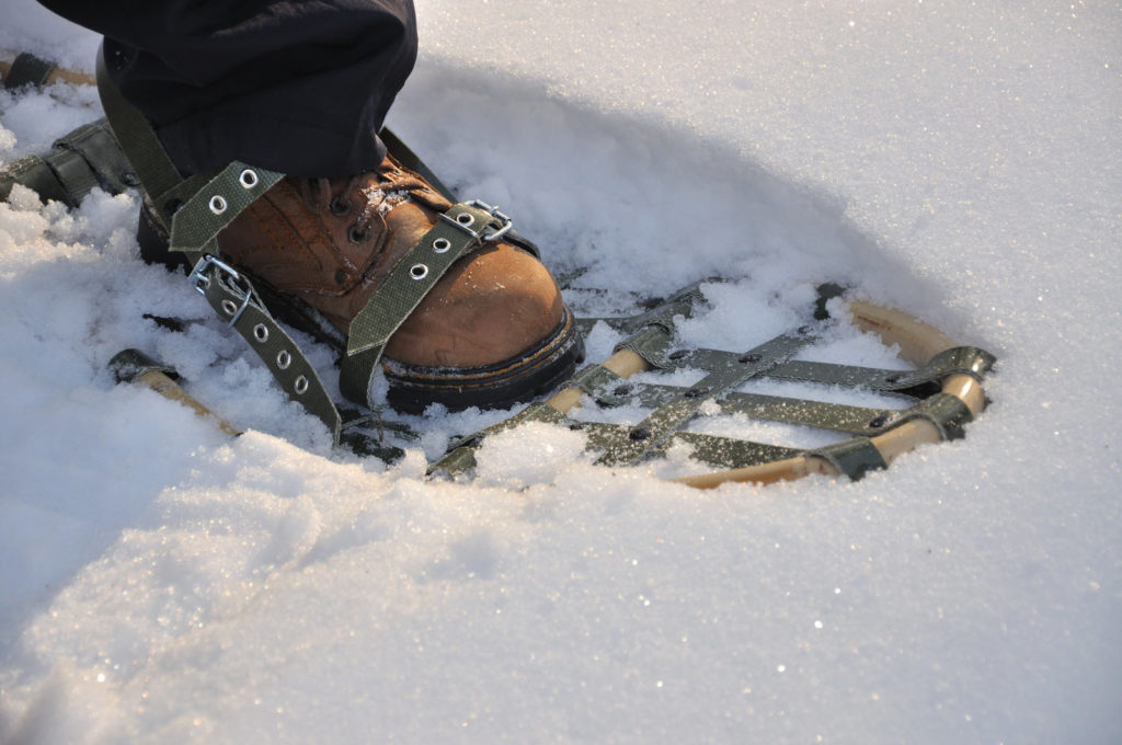 safety tips for snowshoeing